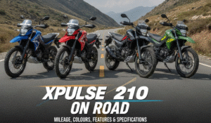 xpulse 210 on road price