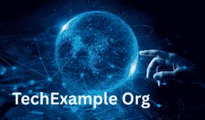 TechExample Org